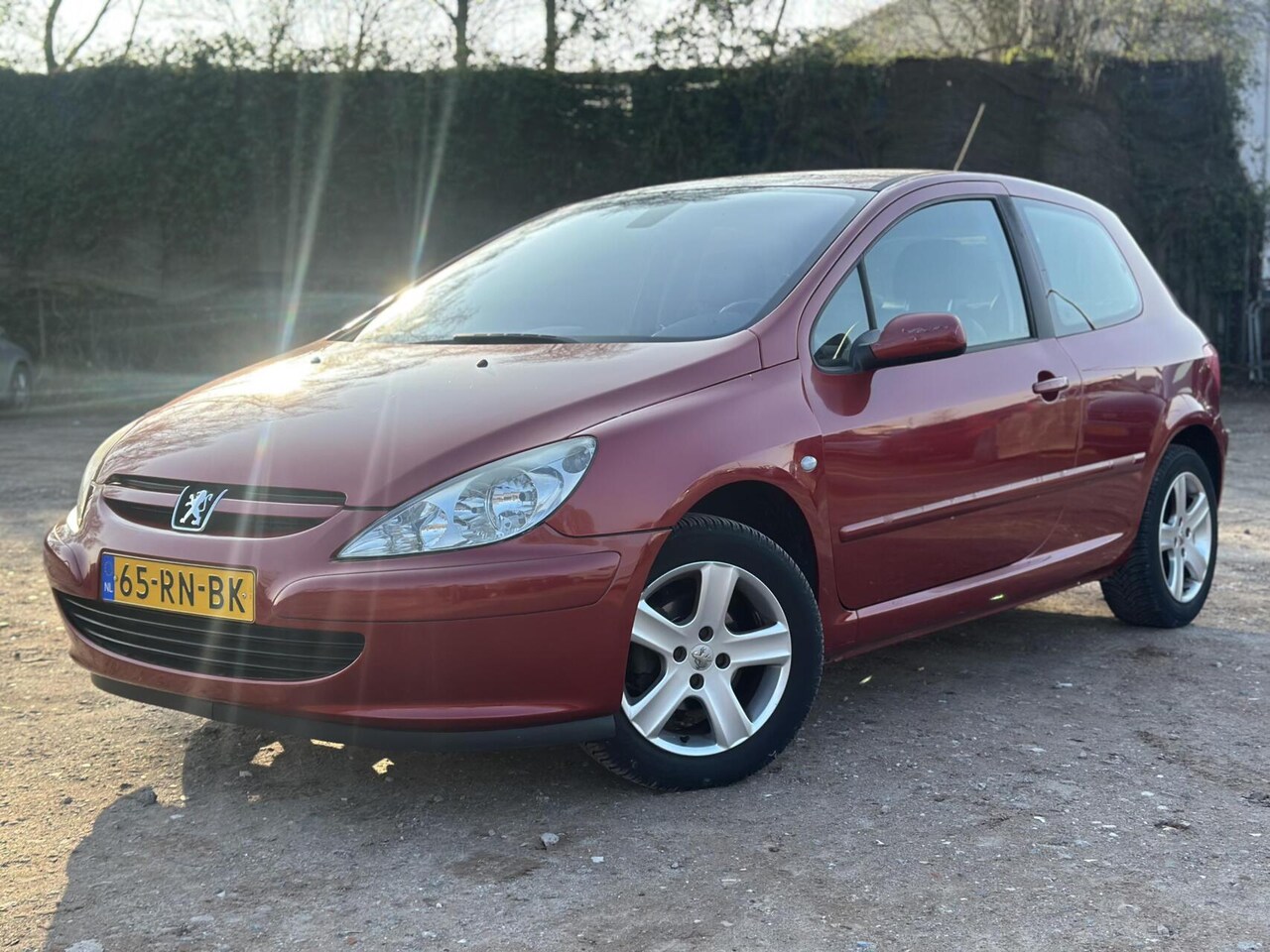 Peugeot 307 - 1.6-16V XSI AIRCO CRUISE SPORTSTOEL HALF LEDER - AutoWereld.nl