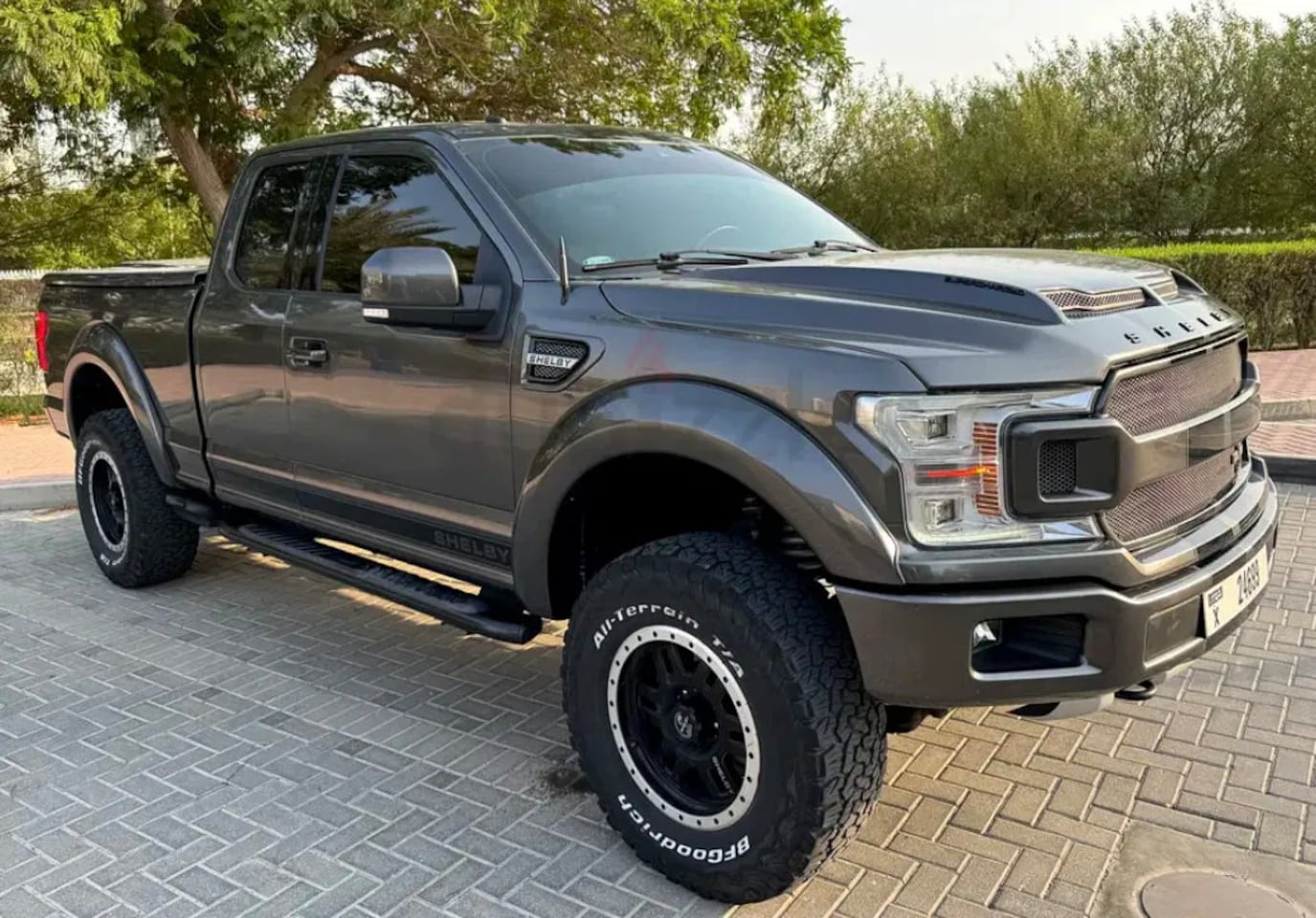 Ford F150 - Shelby , 755 HP Super Snake , Supercharged - AutoWereld.nl