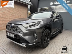Toyota RAV4 - 2.5 Hybrid Bi-Tone 360° / Pano / Trekh / Alarm 3