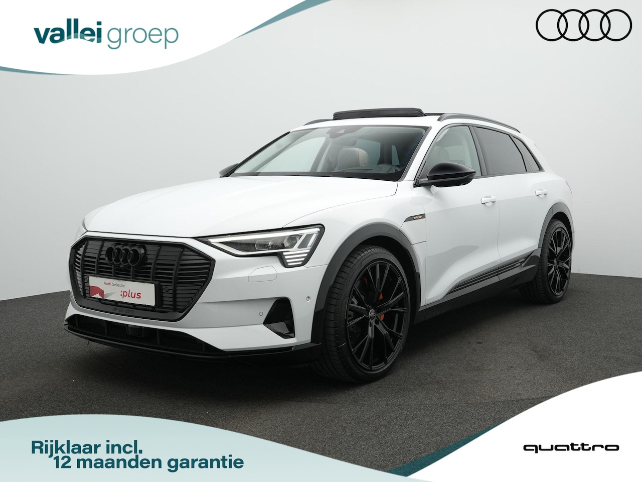 Audi e-tron - e-tron 55 Quattro 95 kWh 360 pk | Panoramadak | Design Selection | Leder | Geheugenstoelen - AutoWereld.nl
