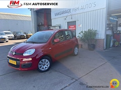 Fiat Panda - 1.2 Edizione Cool