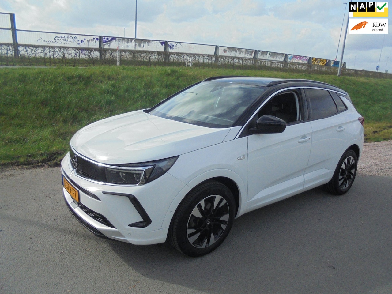 Opel Grandland - Opel Grandland 1.2 Turbo benzine airco xenon pdc 18 lmv camera - AutoWereld.nl