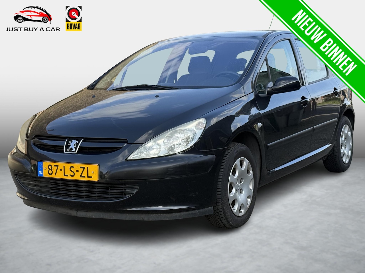 Peugeot 307 - 1.6-16V XT / Cruise control / Comfort-Pack / Nieuwe APK / Nieuw onderhoud uitgevoerd / NAP - AutoWereld.nl
