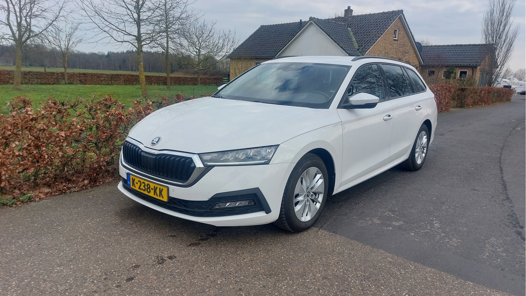 Skoda Octavia Combi - 1.0 TSI Business Edition CLIMA/NAVI/LED BJ 2021 - AutoWereld.nl