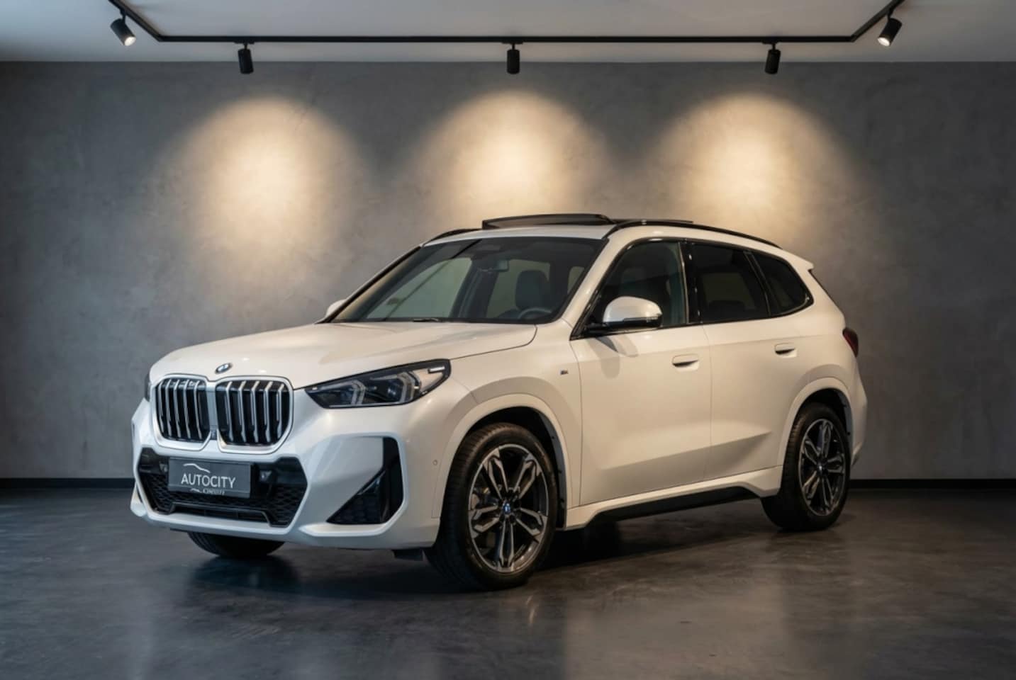 BMW iX1 - 30 xDrive 313 pk M Sport 100% SOH l Pano l Drive Assistant l Sha - AutoWereld.nl