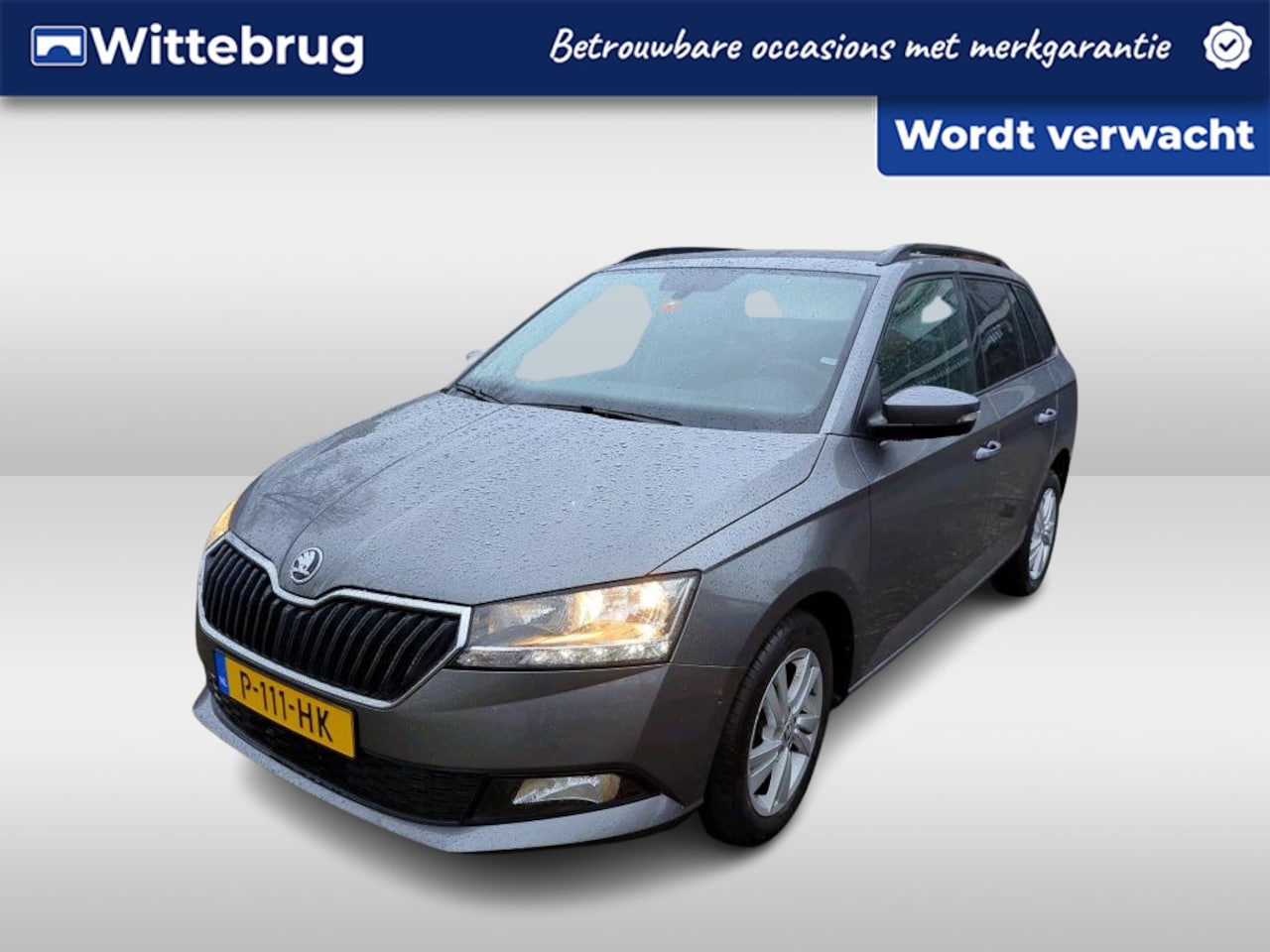 Skoda Fabia Combi - 1.0 TSI Ambition Multimedia / Cruise / PDC - AutoWereld.nl