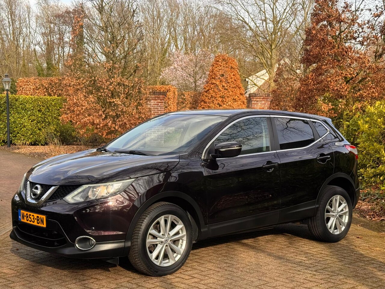 Nissan Qashqai - Camera Trekhaak Dakraam - AutoWereld.nl