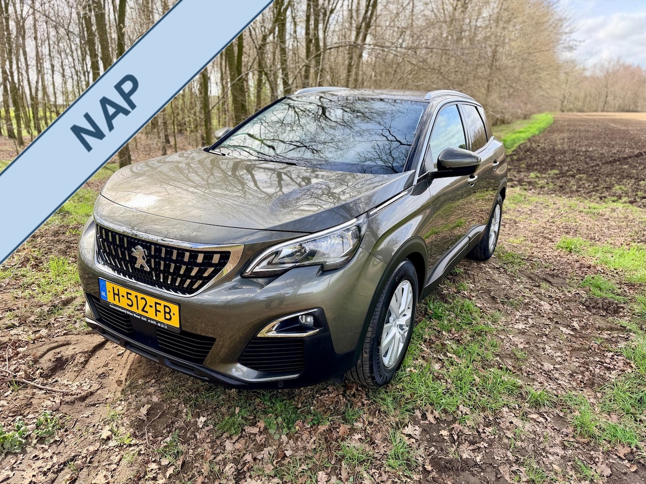 Peugeot 3008 - 1.5 BlueHDi 130pk S&S - AutoWereld.nl