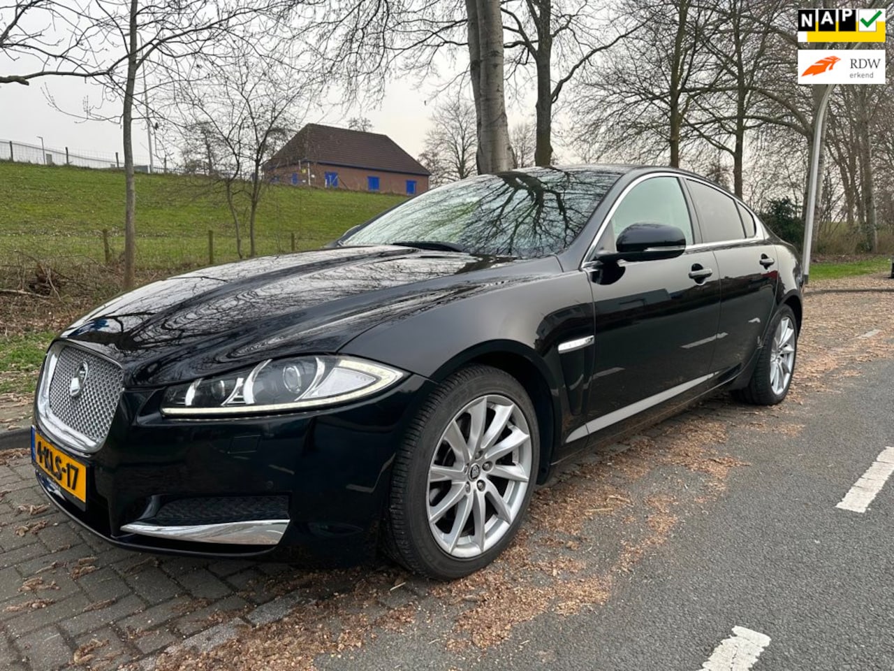 Jaguar XF - 2.2D Premium Business Edition 2.2D Premium Business Edition, automaat ,leer ,nap, nieuwe apk - AutoWereld.nl