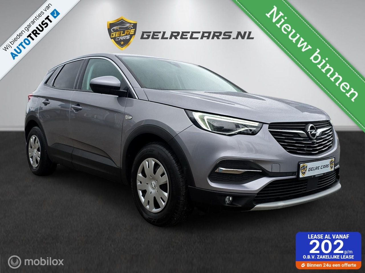 Opel Grandland X - 1.2 Turbo Innovation TOPSTAAT!! - AutoWereld.nl