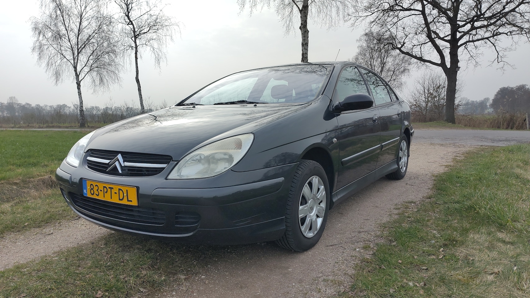 CITROEN C5