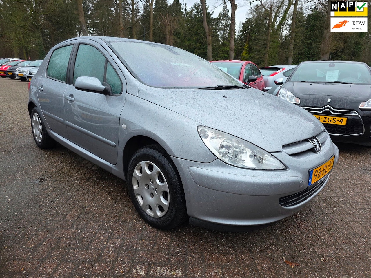 Peugeot 307 - 1.6-16V XT Premium 5-deurs AIRCO - AutoWereld.nl