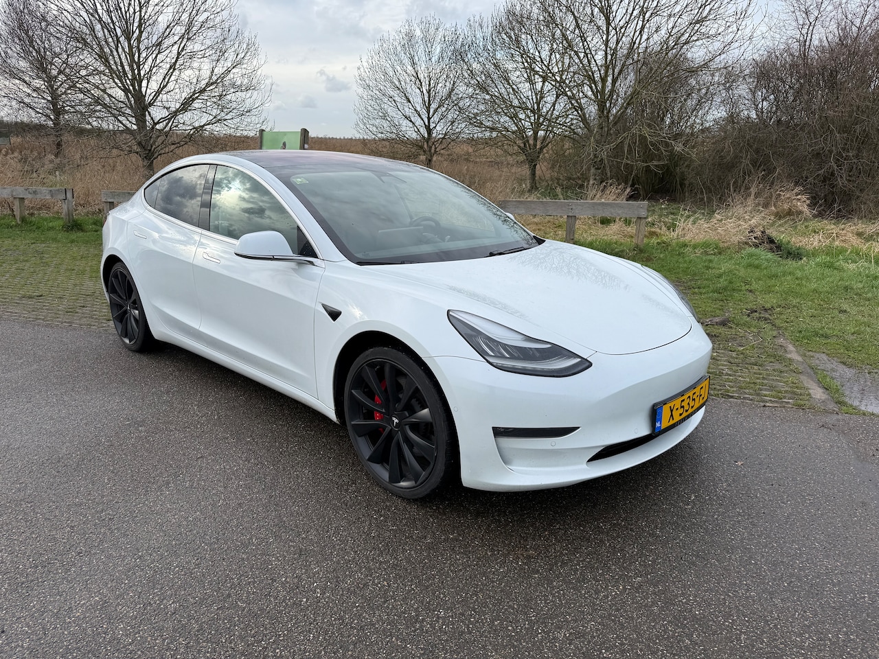 Tesla Model 3 - 75D Performance - FSD. - polariserend glazen dak. - ceramische coating - AutoWereld.nl