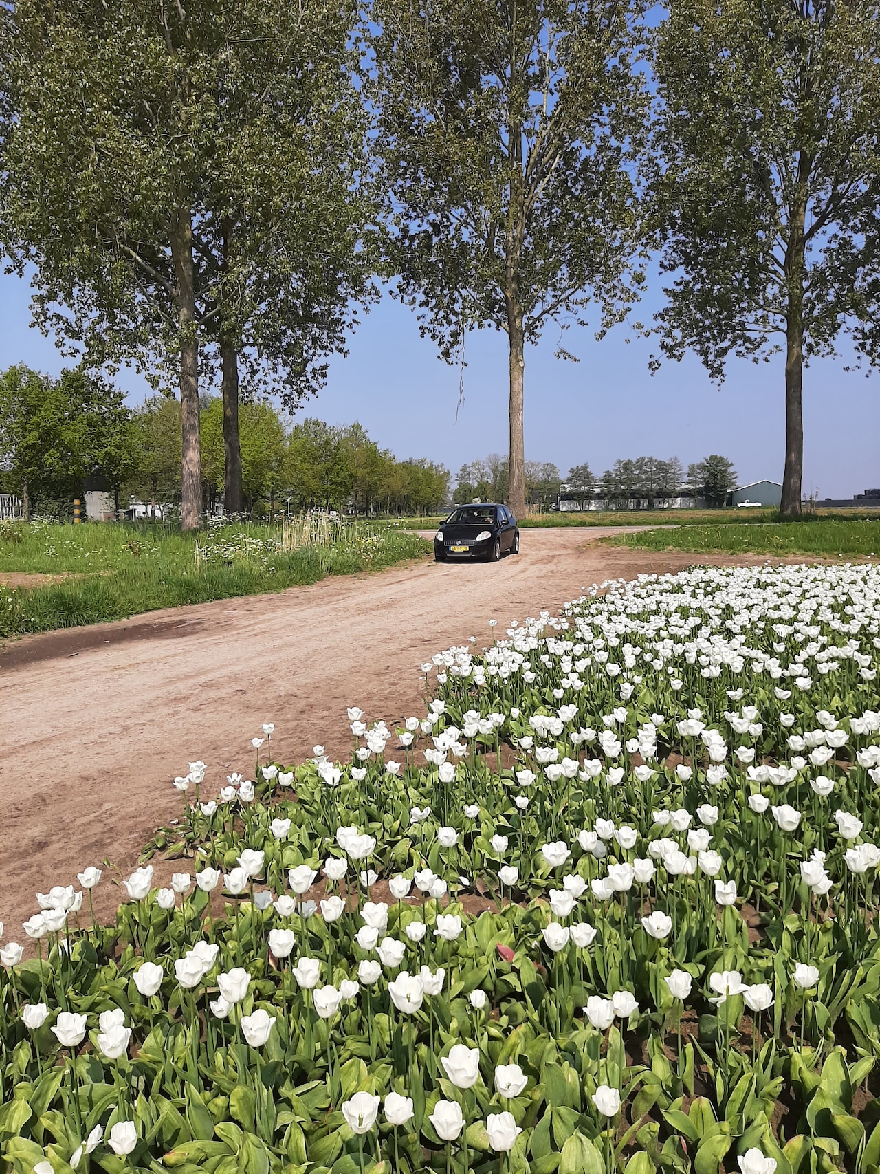 Fiat Grande Punto - 1.4 Active - AutoWereld.nl