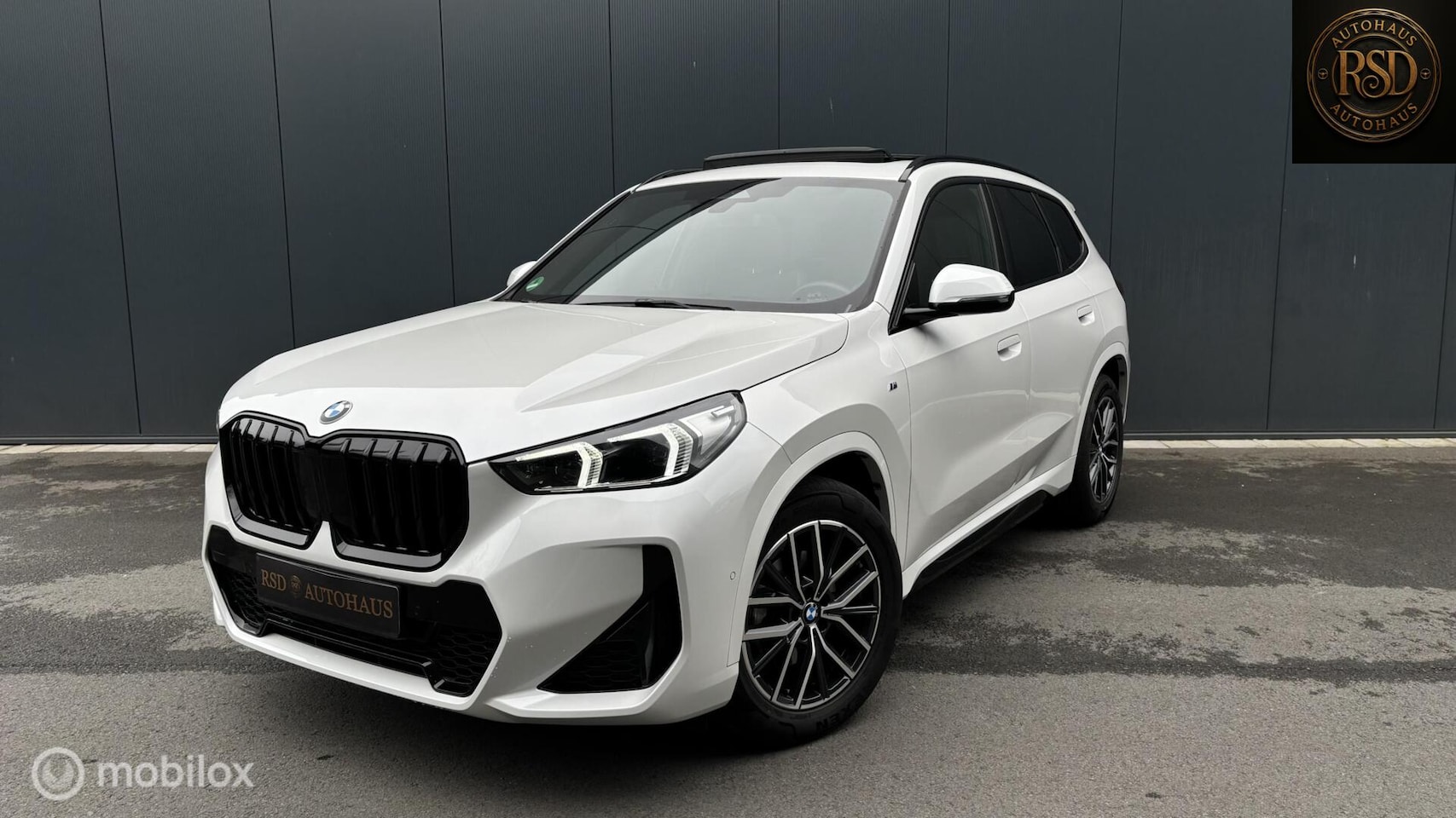 BMW X1 - sDrive18i M-sport Panoramadak/Harman kardon - AutoWereld.nl