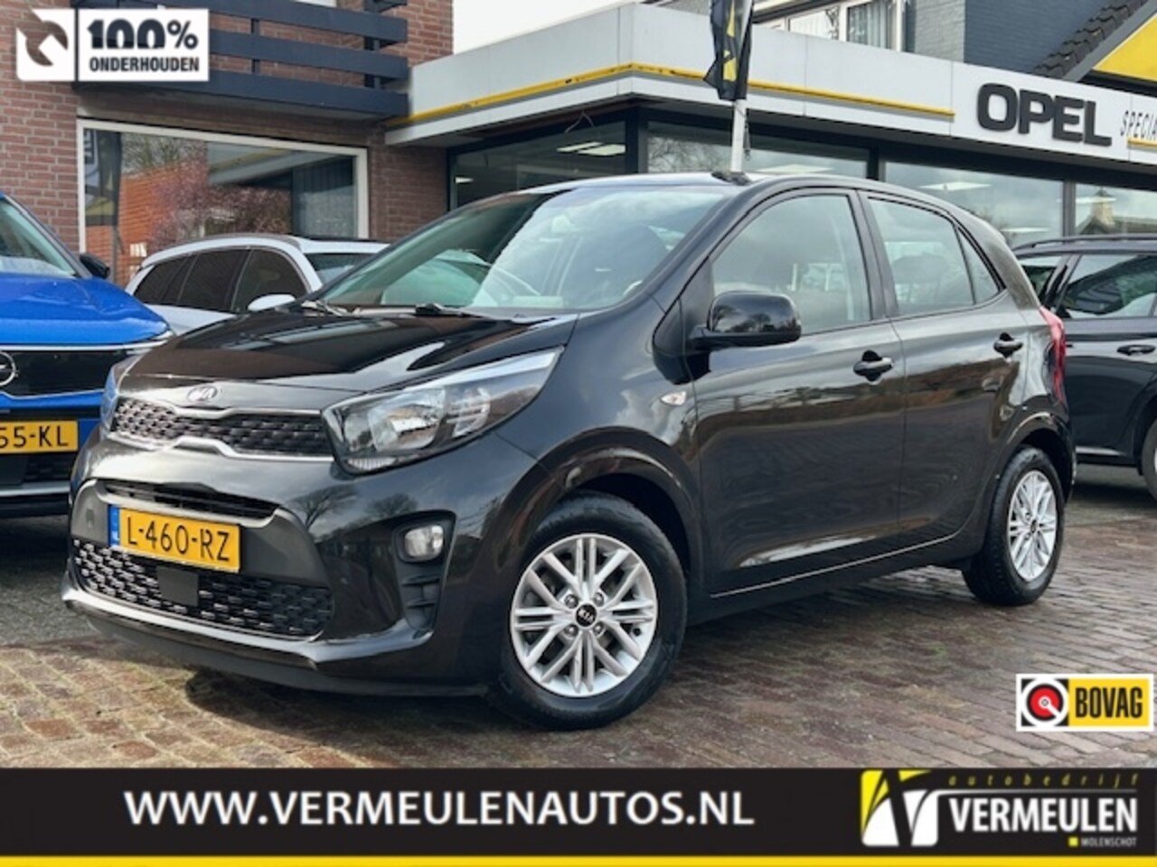 Kia Picanto - 1.0 MPi 67PK DynamicLine + 14"/ Airco/ Cruise/ CarPlay/ Camera/ NL auto - AutoWereld.nl