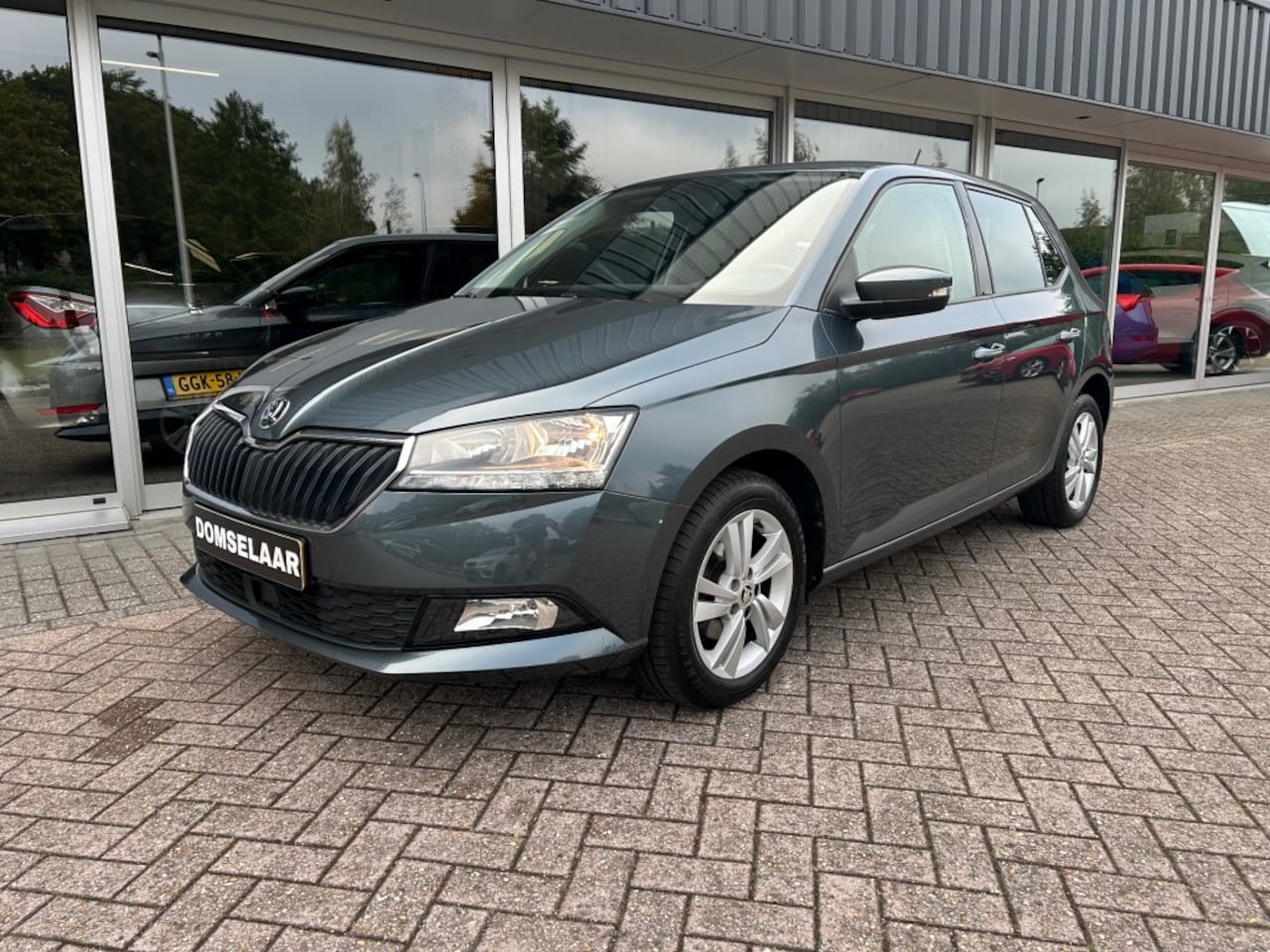 Skoda Fabia - 1.0 TSI Online Edition 1.0 TSI Online Edition - AutoWereld.nl