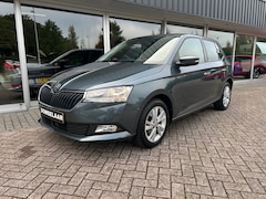 Skoda Fabia - 1.0 TSI Online Edition