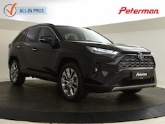 Toyota RAV4 - 2.5 Hybrid AWD Executive | Blind Spot | Stoel+ achterb. verwarmd