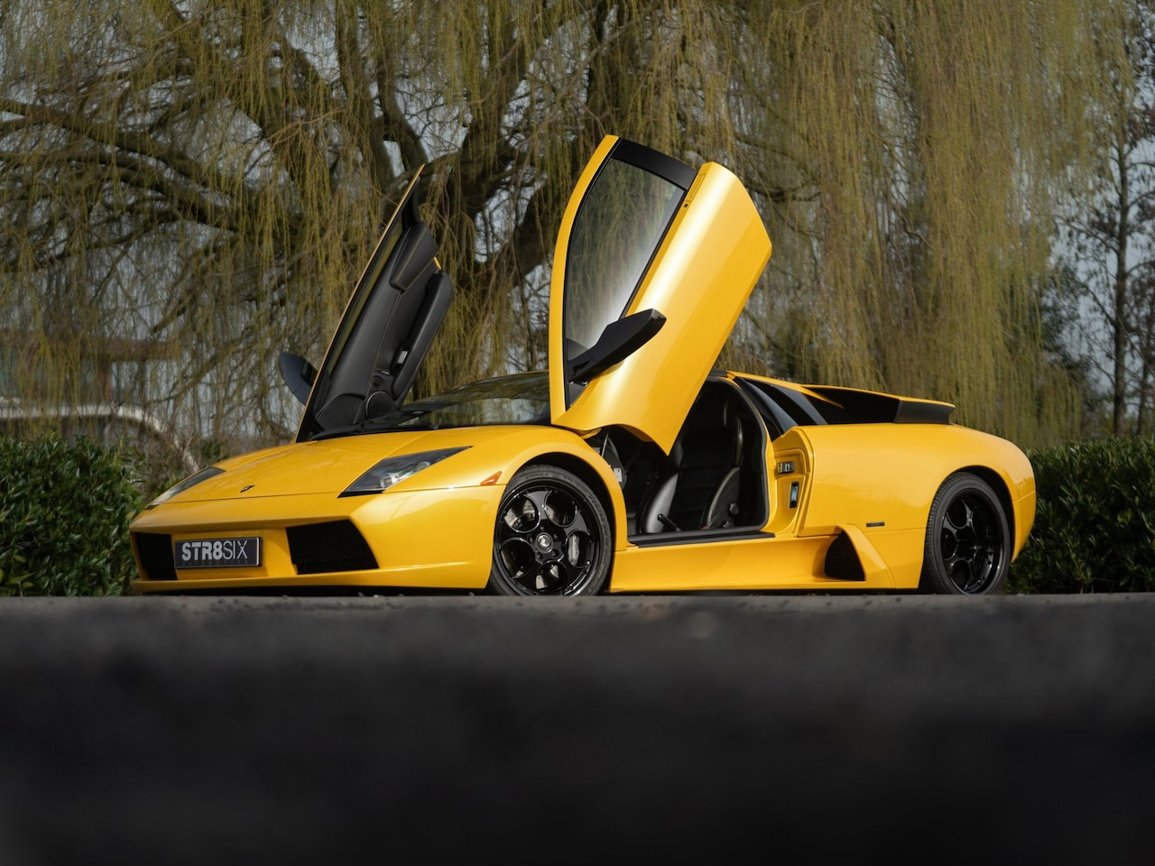 Lamborghini Murciélago - 6-Speed Manual (2002) 580 PS | Giallo Orion | NL Delivered | Original Paint | Major Servic - AutoWereld.nl