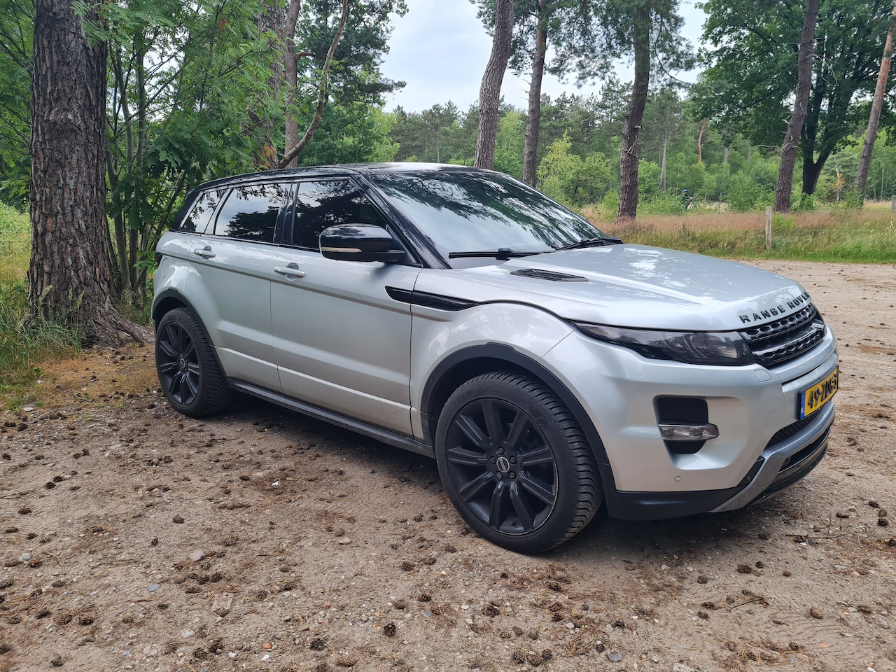 Land Rover Range Rover Evoque - 2.0 Si 4WD Dynamic Cold Climate Pack - AutoWereld.nl