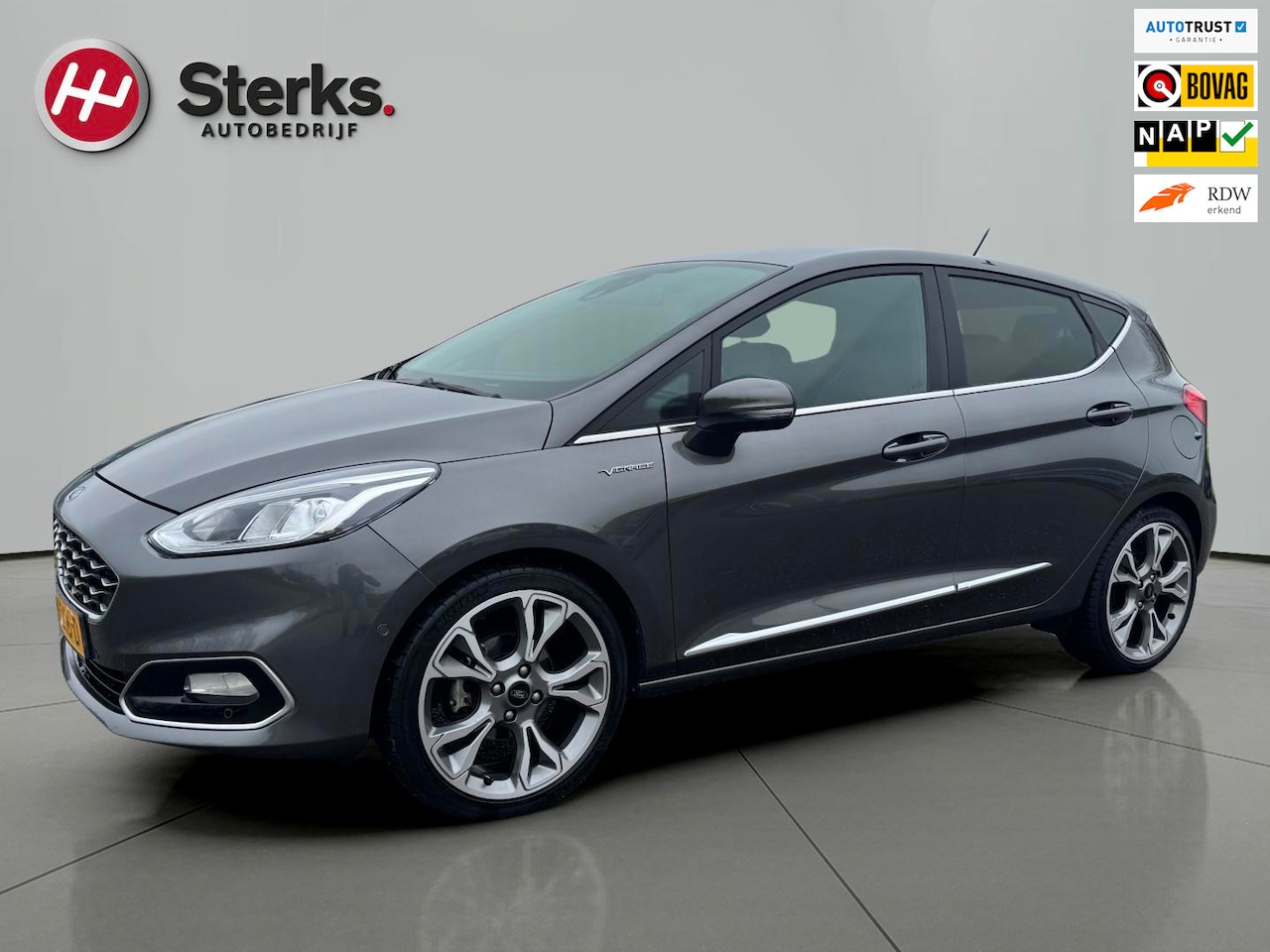 Ford Fiesta - 1.0 EcoBoost Vignale 125 PK WINTER PAKKET LEDER CAMERA PARKEERHULP - AutoWereld.nl