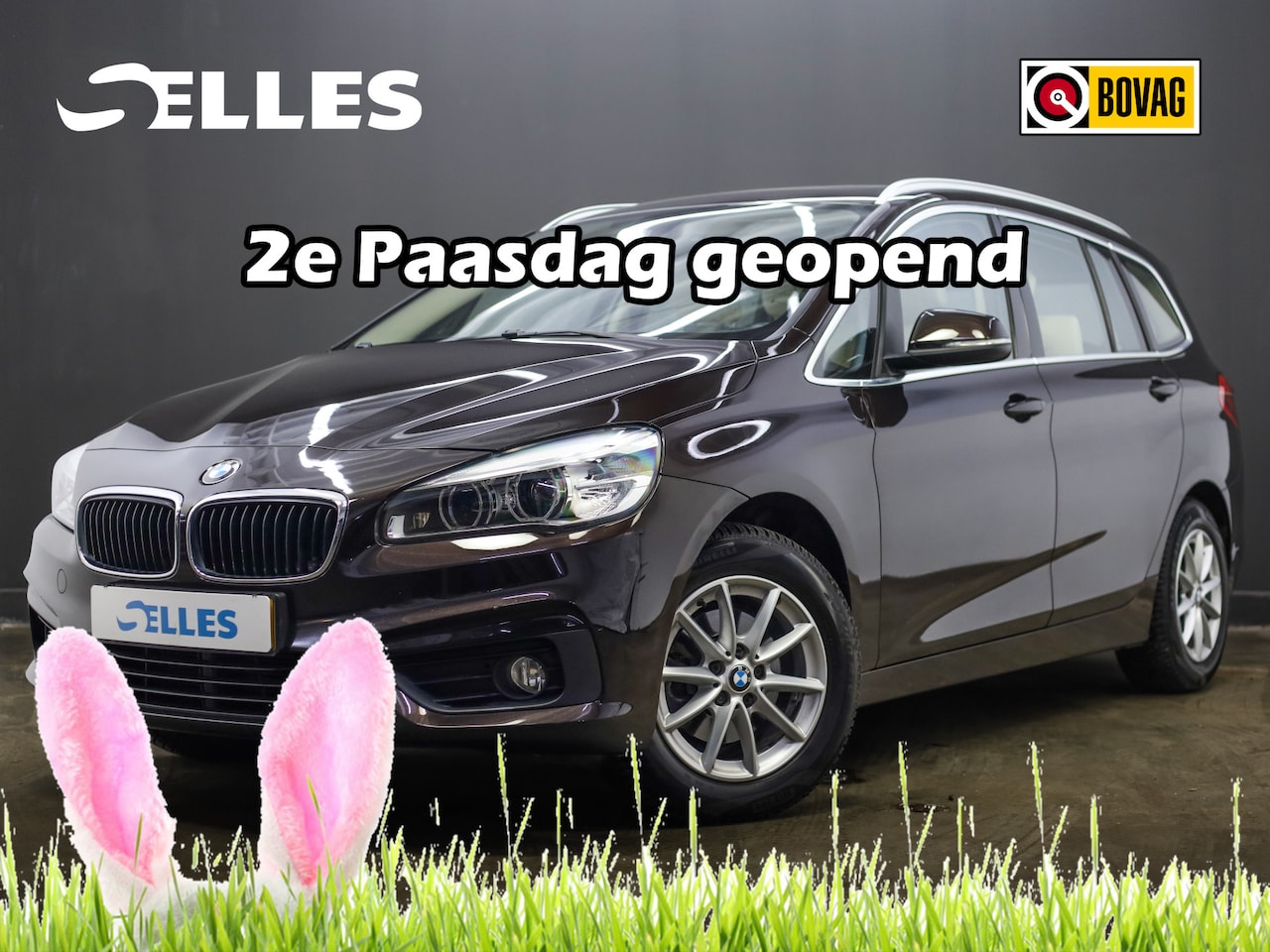 BMW 2-serie Gran Tourer - 216d Centennial High Executive | Trekhaak | Panoramadak | Lederen Bekleding - AutoWereld.nl