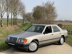 Mercedes-Benz Pullman - 200D W124 1986, TREKHAAK, BEKLEDING