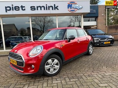 MINI One - 1.2 Salt Business