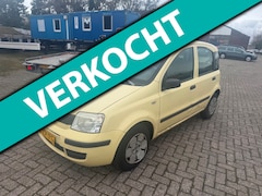 Fiat Panda - 1.1 Active geinig voor weinig rijd goed