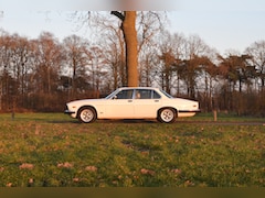 Jaguar XJ - 4.2 S3 4.2 Automatic – Tudor White – 88.444mls – Y1982