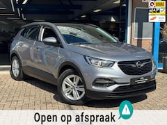 Opel Grandland X - 1.2 Turbo Edition 2019 NAVI CAMREA LM NAP