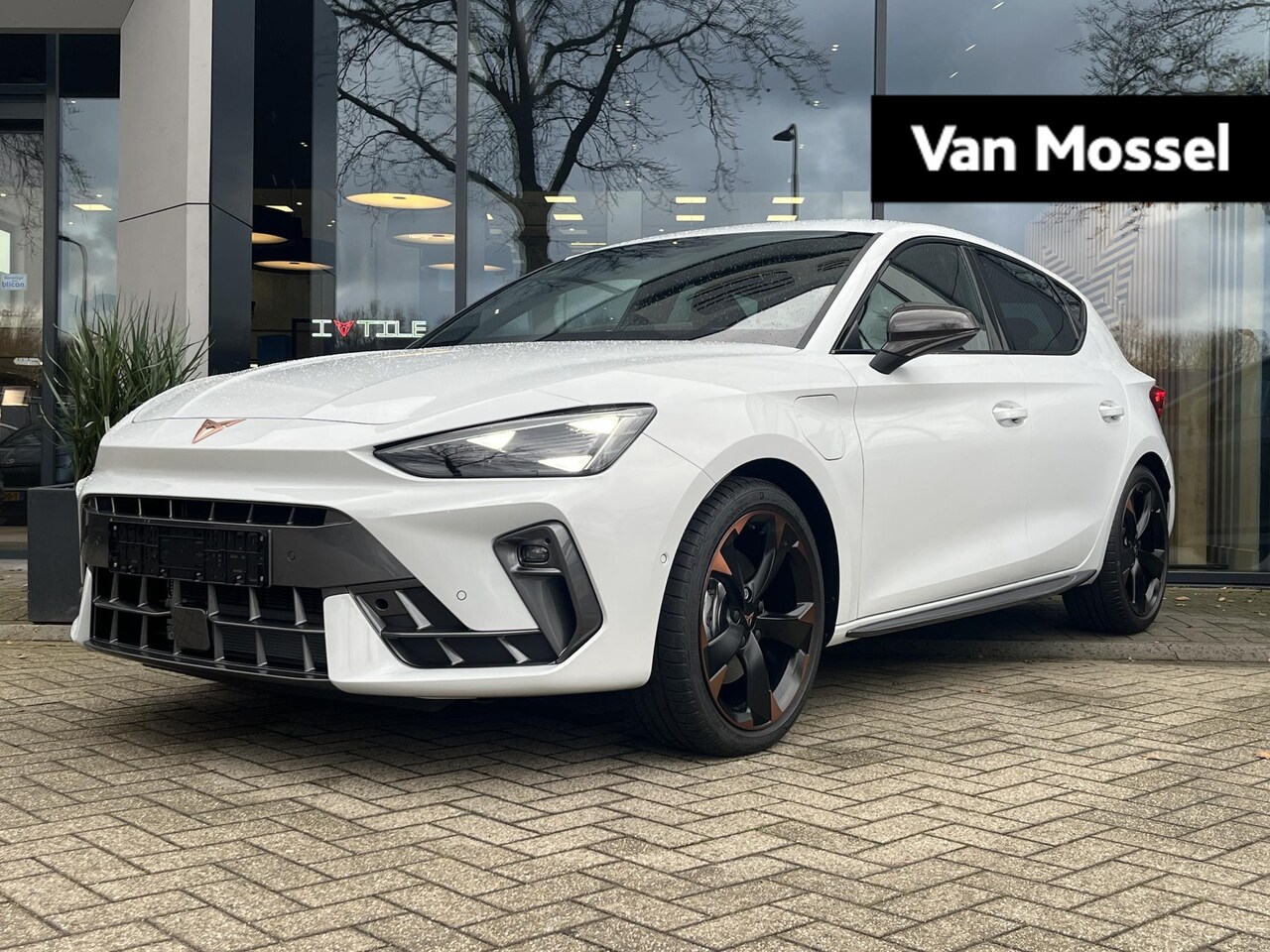 CUPRA Leon - 1.5 TSI e-Hybrid Business 204PK | Automaat | Lichtmetalen Velgen | Elektrisch verstelbare - AutoWereld.nl