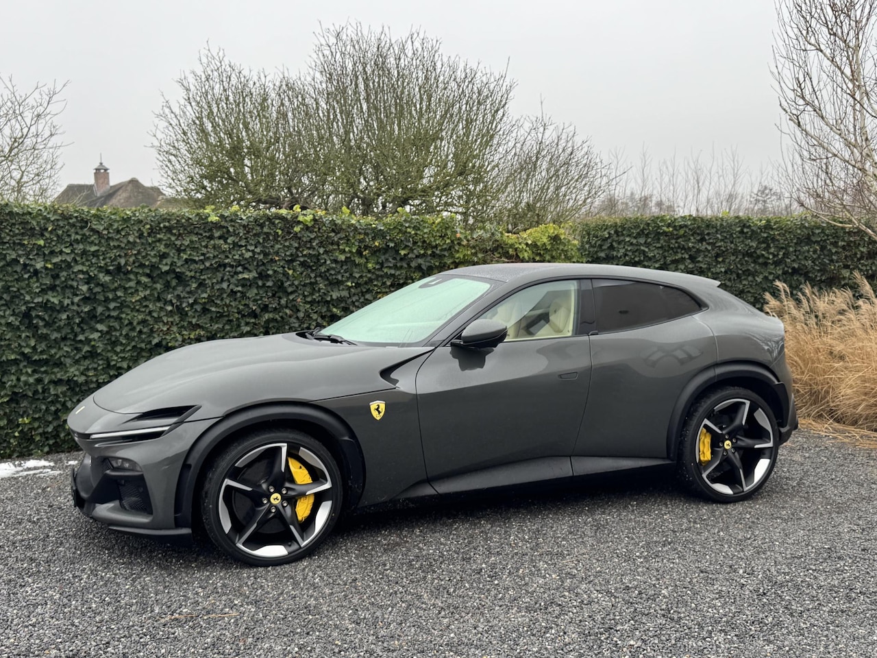 Ferrari Purosangue - 6.5 V12 6.5 V12 - AutoWereld.nl