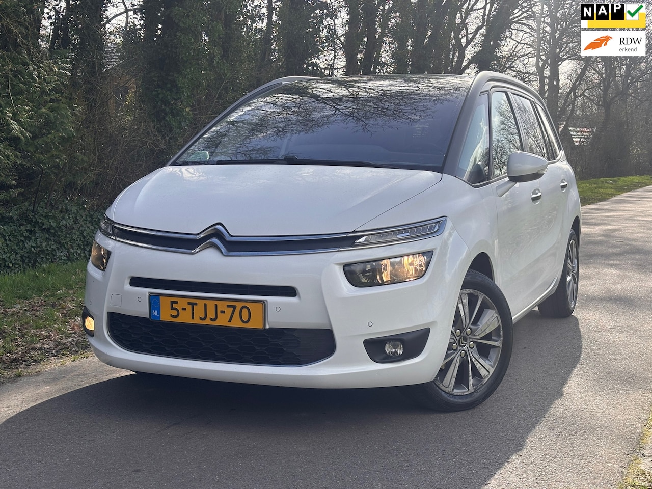 Citroën Grand C4 Picasso - 1.6 VTi Business | 7 Persoons + Cruise + Airco | - AutoWereld.nl