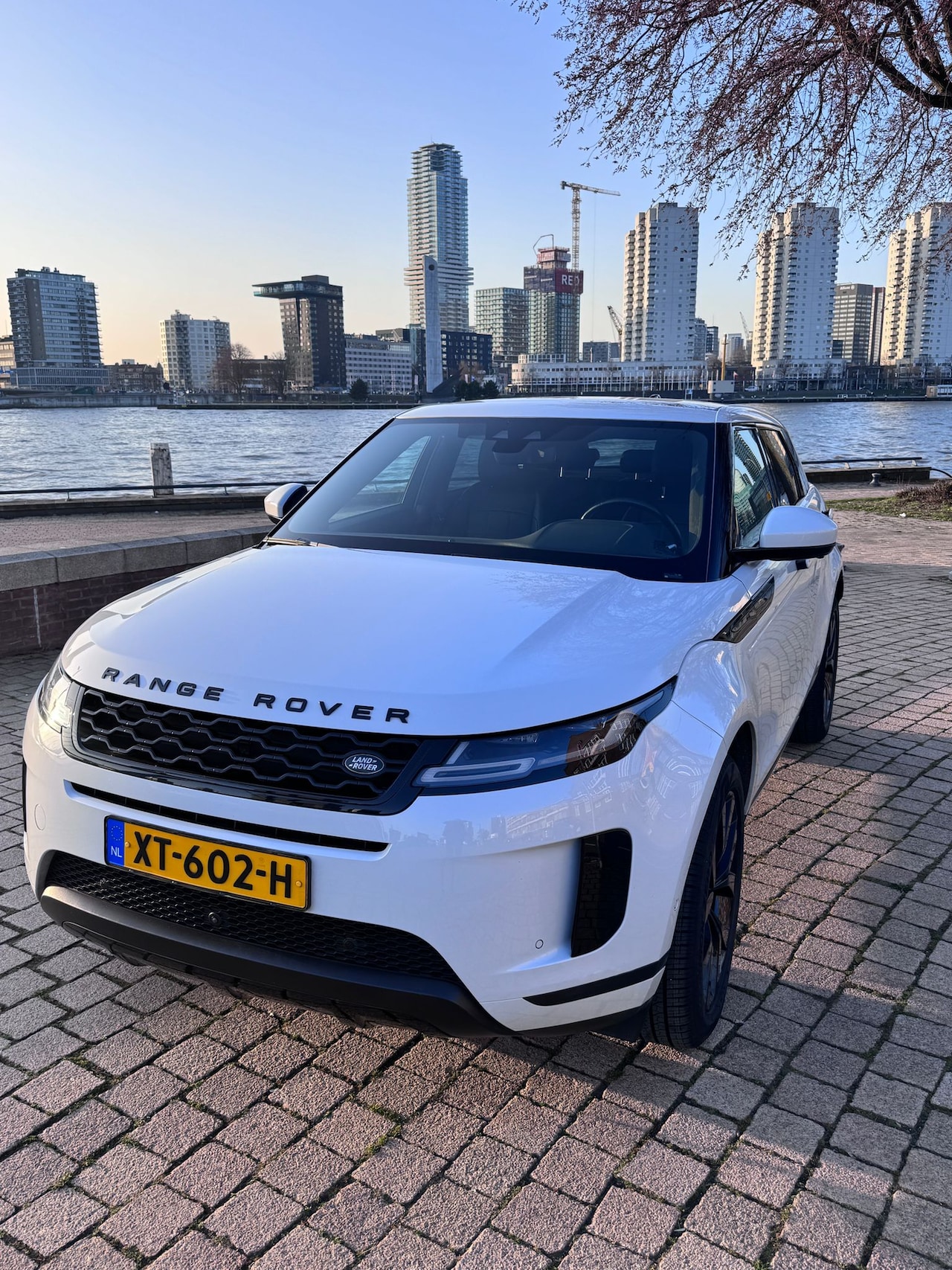 Land Rover Range Rover Evoque - 2.0 D180 AWD SE Uitgebreide versie met luxe opties - AutoWereld.nl