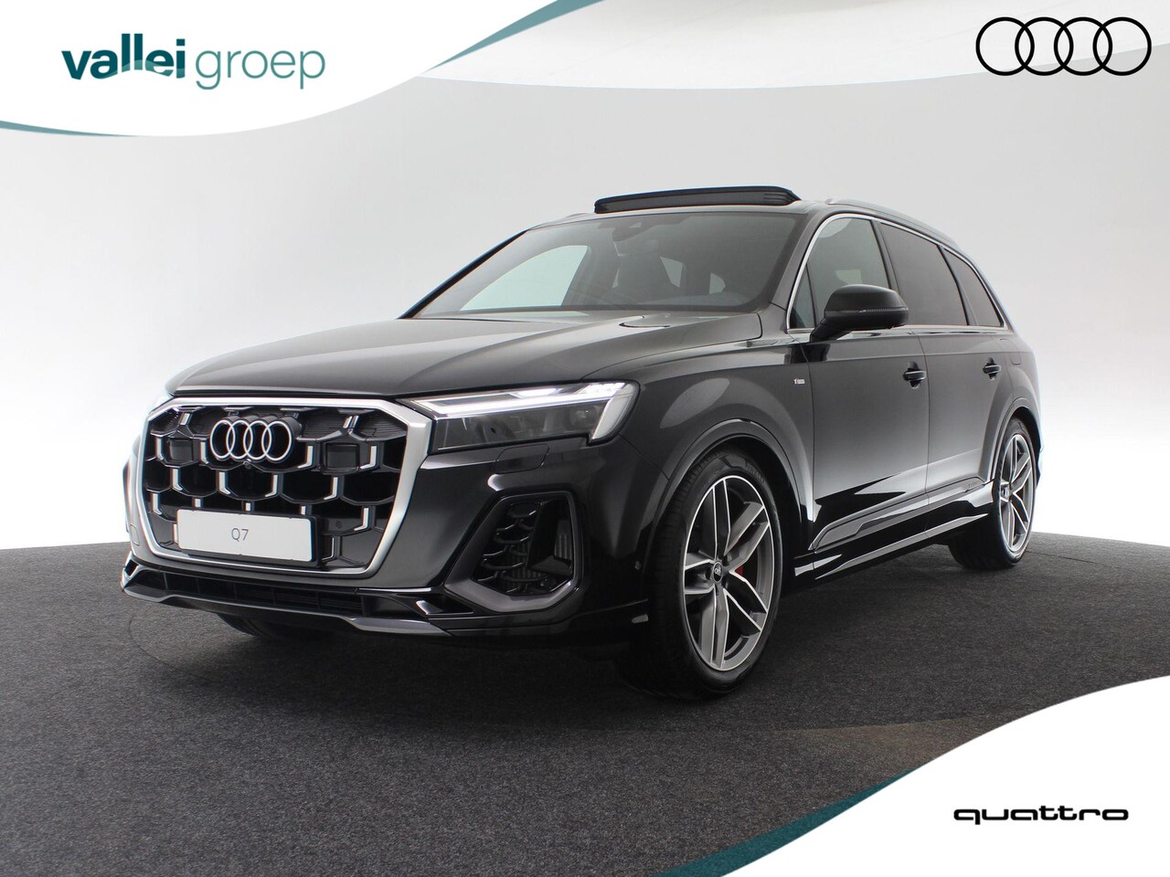 Audi Q7 - 55 TFSI e quattro 394 pk Pro Line S | Sportstoelen plus voorin | Glazen panoramadak | Assi - AutoWereld.nl