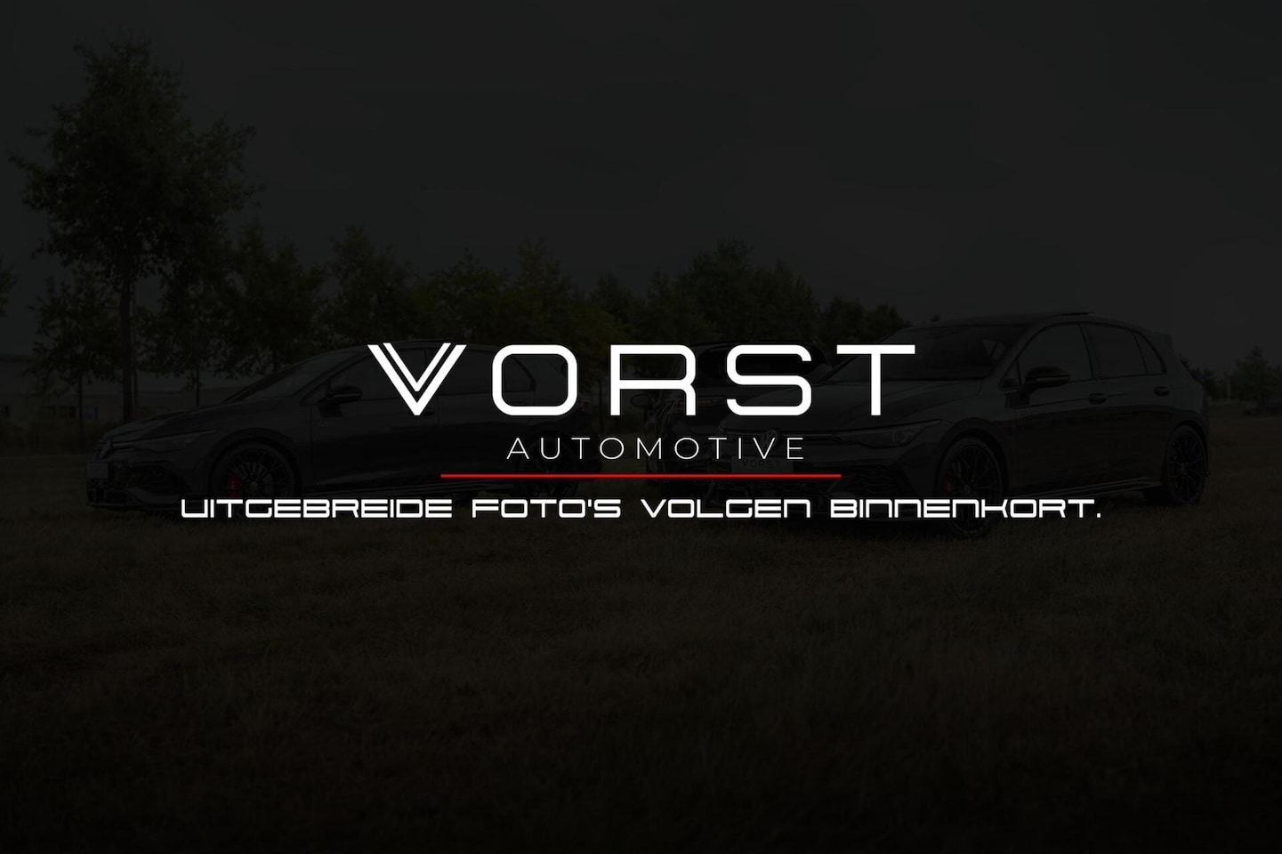 Volkswagen Polo - 2.0 TSI GTI Pano DSG Beats ACC Stoelverw - AutoWereld.nl