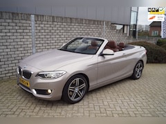 BMW 2-serie Cabrio - 220i High Executive Luxury Autom Leder Sportst Stoelverw Navi Clima Xenon Cruise 2x PDC LM