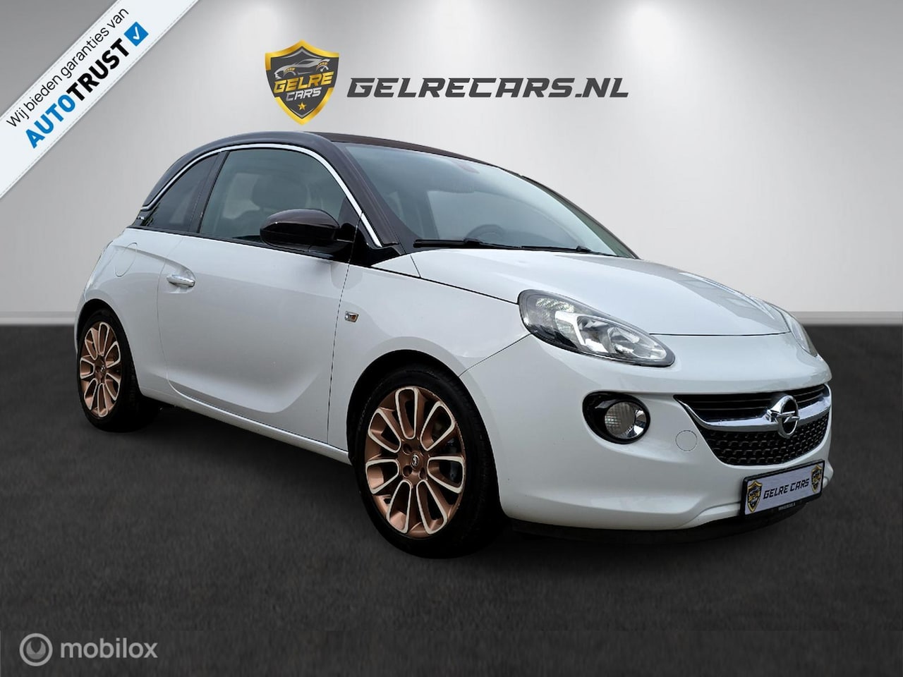 Opel ADAM - 1.4 Jam Open Dak Topstaat Vol!!!! - AutoWereld.nl