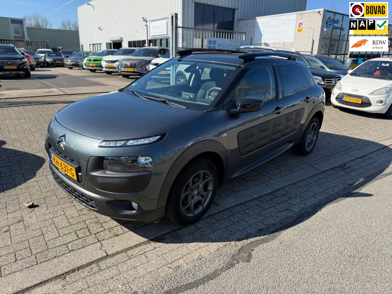Citroën C4 Cactus - 1.2 PureTech Shine 1.2 PureTech Shine, NAP, Nette auto - AutoWereld.nl