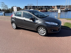Ford Fiesta - 1.0 EcoBoost Titanium