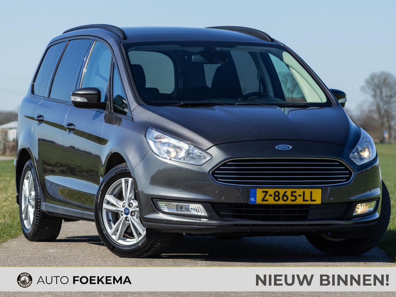 Ford Galaxy - 1.5 Titanium 7 Persoons Trekhaak LED - AutoWereld.nl