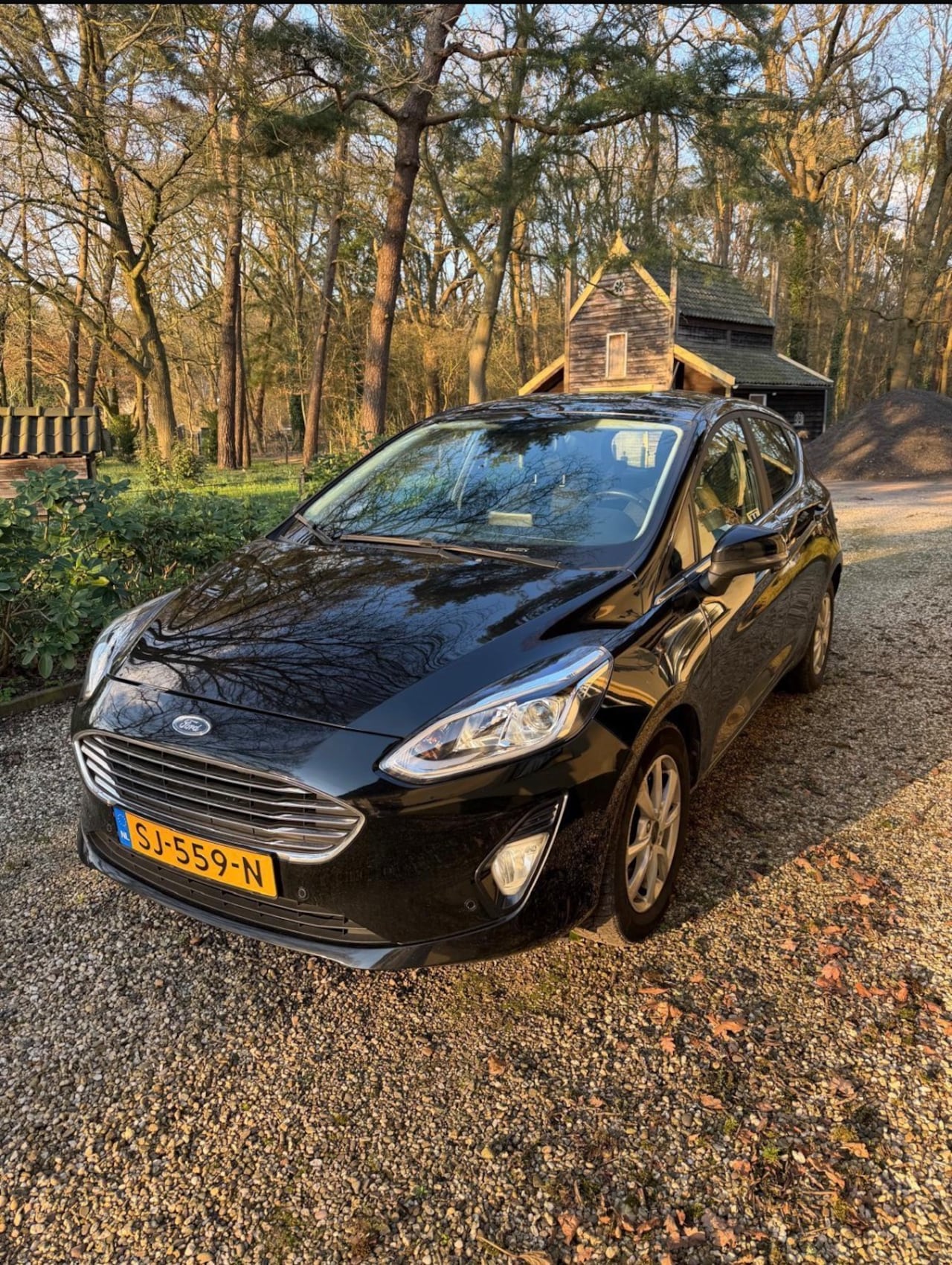 Ford Fiesta - 1.5 TDCi Titanium.5 deurs,Nieuw model ! Eerste eig ! Nieuwstaat !! - AutoWereld.nl