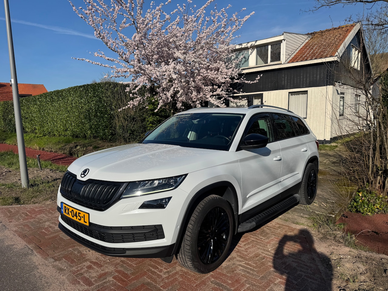 Skoda Kodiaq - 2.0 TDI 4x4 Style 7p. DCC. ACC. VC. Veel extras - AutoWereld.nl
