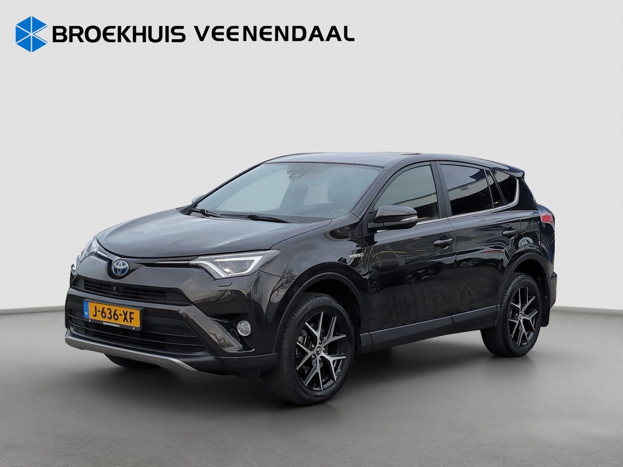 Toyota RAV4 - 2.5 Hybrid Executive Business | Cruise control | 360 camera | Stoelverwarming | Navi | Blu - AutoWereld.nl
