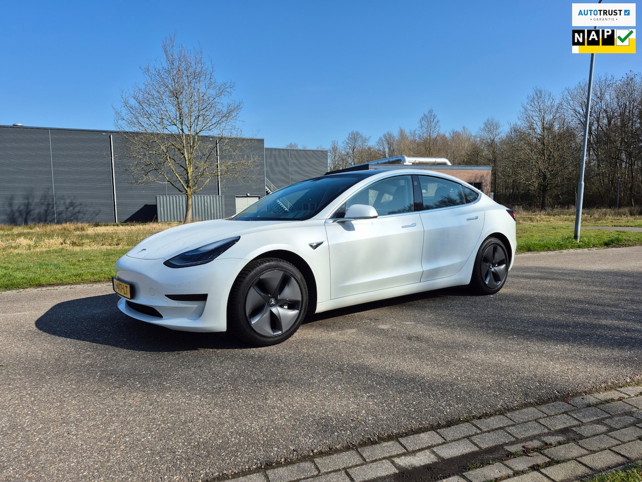 Tesla Model 3 - Standard RWD Plus 60 kWh - AutoWereld.nl