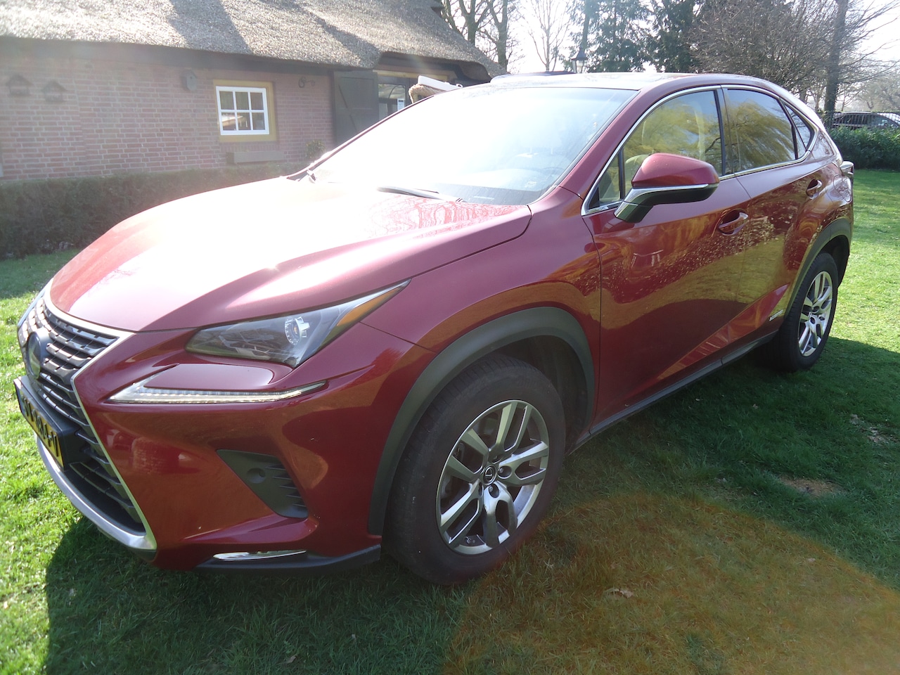 Lexus NX - 300h AWD Luxury Line GERESERVEERD
