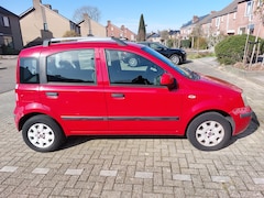 Fiat Panda - 1.2 Edizione Cool