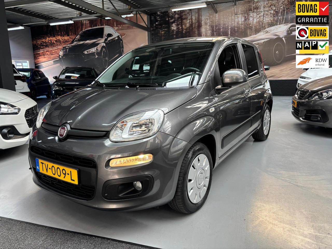 Fiat Panda - 1.2 Lounge / Airco - AutoWereld.nl
